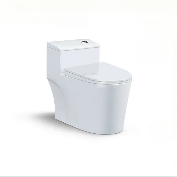 Dvojité splachovací keramické WC v koupelně